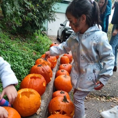 kuckoprogram-oldal-12