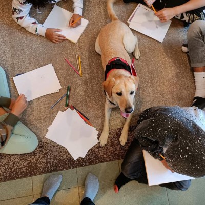 kuckoprogram-oldal-13