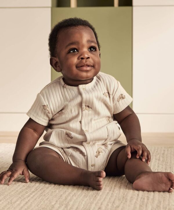 Orrszarvús bordázott napozó